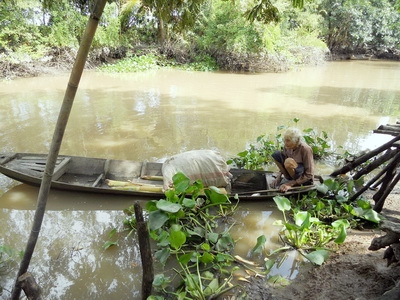 Gx My Trung+bagia an xin_01.JPG